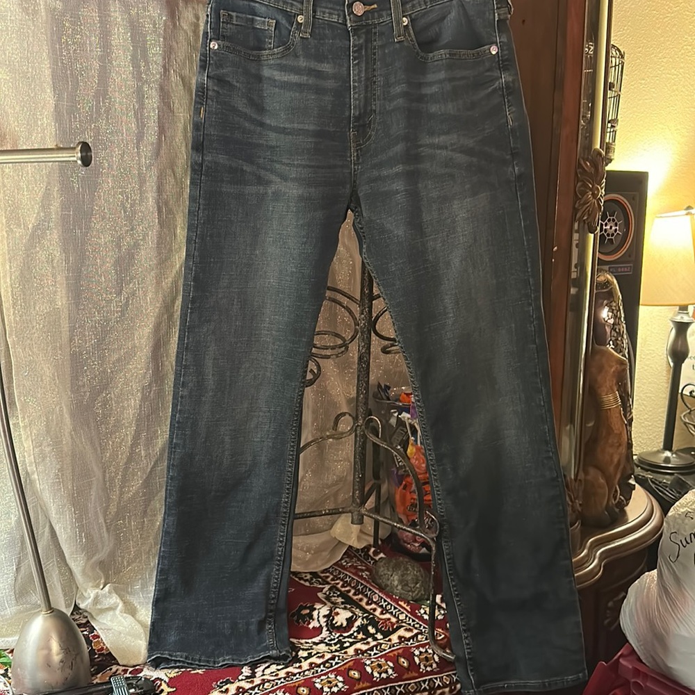 Denizen from Levi’s 232 Slim Straight